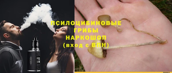 ALPHA PVP Сосновка