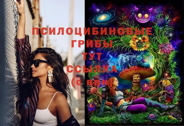 mdma Белокуриха