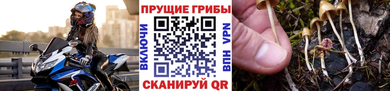 гидра сайт  Геленджик  Псилоцибиновые грибы мухоморы 